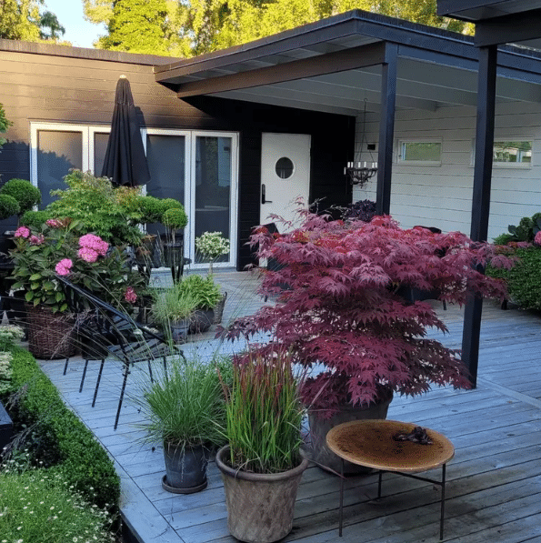 Intrepid Blog Wood deck patio with potted plants, a red Japanese maple, and outdoor seating near a modern house exterior.